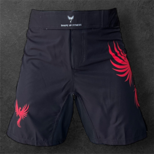 Phoenix Men's Workout