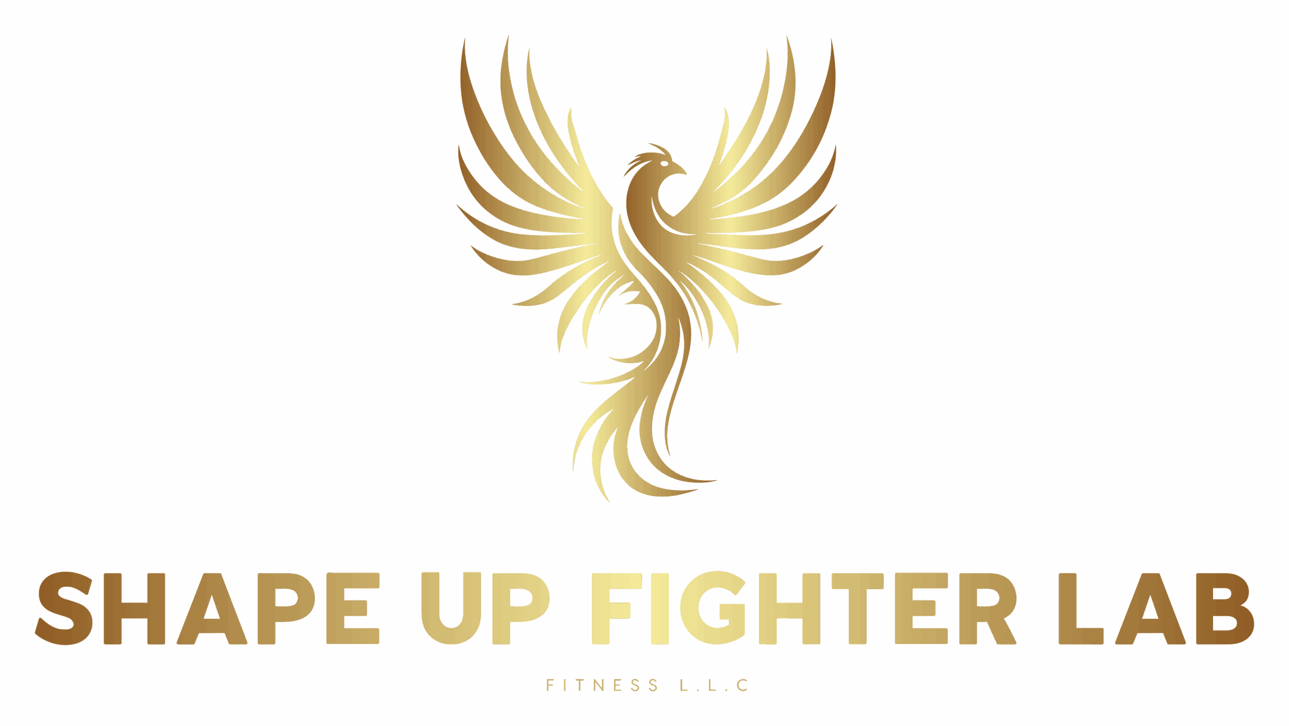 Shape Up Fighter Lab Shop
